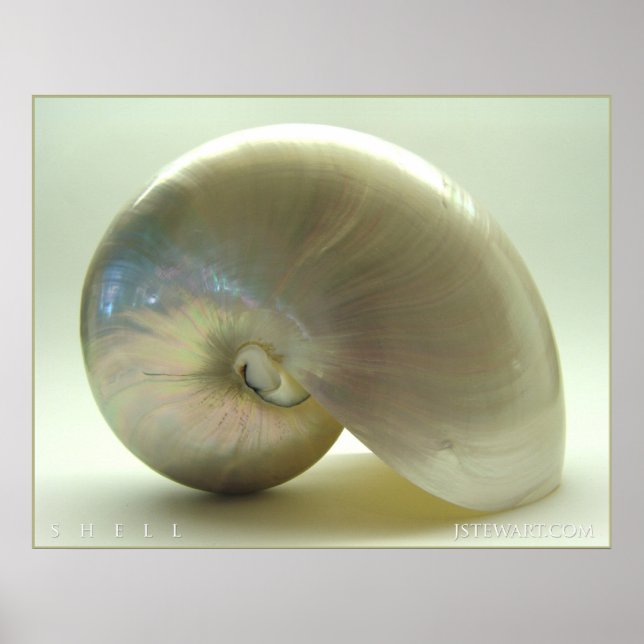 Poster Shell nº 1 (Frente)