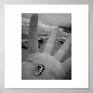 Pôster Shell na mão