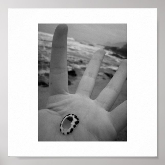 Pôster Shell na mão (Frente)