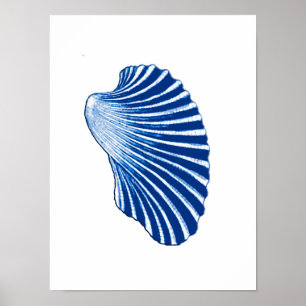 Poster Shell Scallop, Azul Indigo e Branco