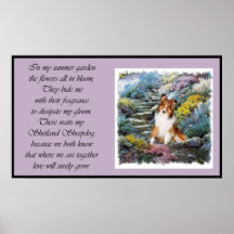 Sheltie Art Onde O Amor Cresce