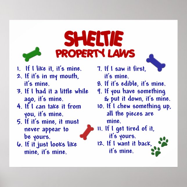 POSTER SHELTIE PL2 (Frente)