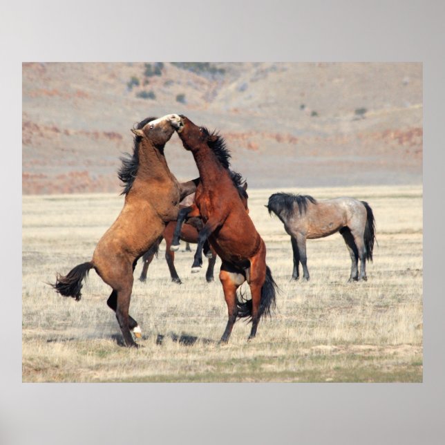 Pôster Shenanigans (Frente)