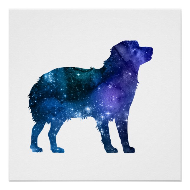 Pôster Shepherd Art Aussie Dog Australiano (Frente)
