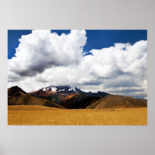 Poster Shepherd e seu bando nos Andes peruanos (Frente)