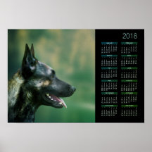 Shepherd Holandês - Calendário Holandês 2018