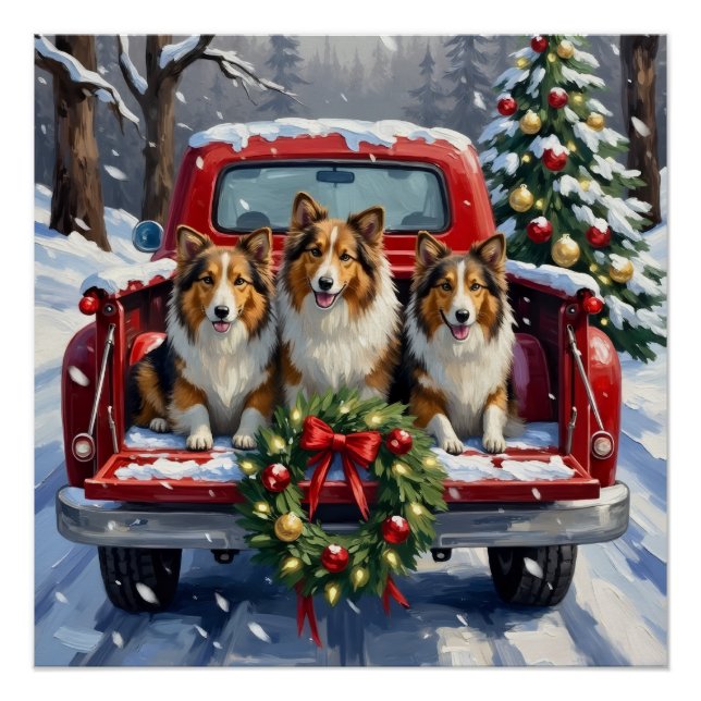 Pôster Shetland Sheepdog Christmas Red Truck Holiday (Frente)