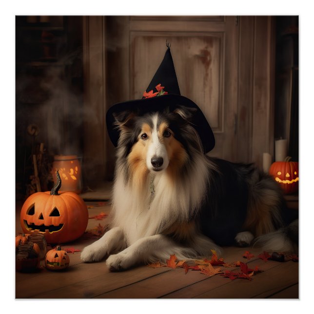 Pôster Shetland Sheepdog Pumpkins Halloween Assustado (Frente)