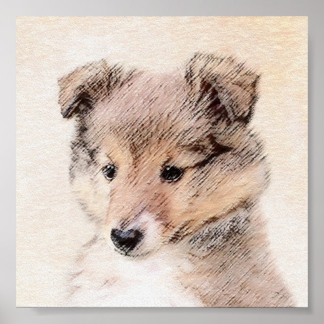 Poster Shetland Sheepdog Puppy Painting Original Dog Art (Frente)