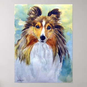 Pôster Shetland Sheepdog Wall Print