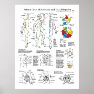 Poster Shiatsu Acupuncture Meridians e Hara Diagnostics
