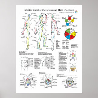 Poster Shiatsu Acupuntura Meridianos e Hara Diagnostics