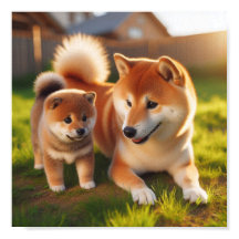 Shiba Inu mãe e seu filhote