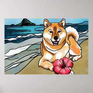 Pôster Shiba Inu no chapéu do Chinaman, Havaí