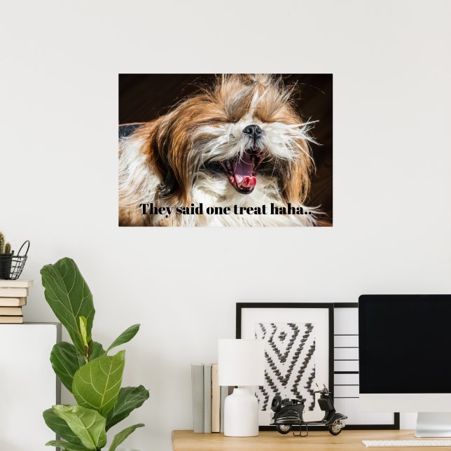 Poster Shih tzu chorando rindo texto engraçado personaliz (Escritório em casa)