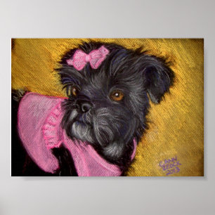 Pôster Shih-tzu com arco cor-de-rosa