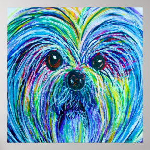 Pôster Shih Tzu - Cores Intensas