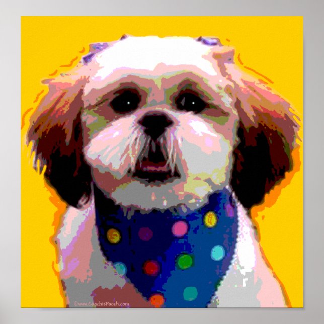 Poster Shih Tzu em Polkadots: Tela impressa (Frente)