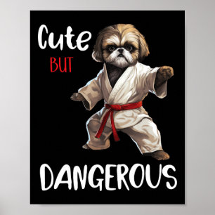 Poster Shih Tzu Karate Kung Fu Boys Gi Bonitos Mas Perigo