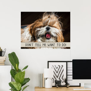 Poster Shih tzu lingua engraçada Não me diga o que fazer
