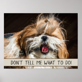 Poster Shih tzu lingua engraçada Não me diga o que fazer