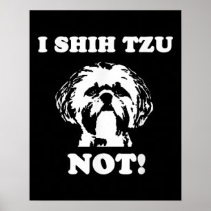 Poster Shih Tzu Lover   I Shih Tzu Not Funny Dog