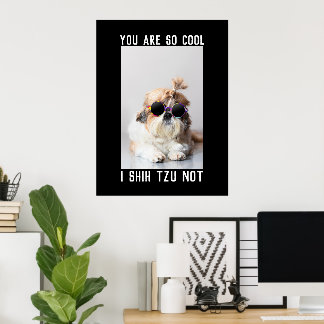 Poster Shih Tzu Não é divertido amantes de cães fofos Fot