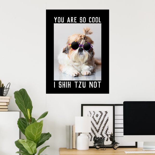 Poster Shih Tzu Not fun cute cool dog Custom text (Escritório em casa)