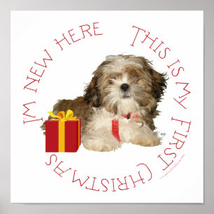Poster Shih Tzu Puppy Primeiro Natal