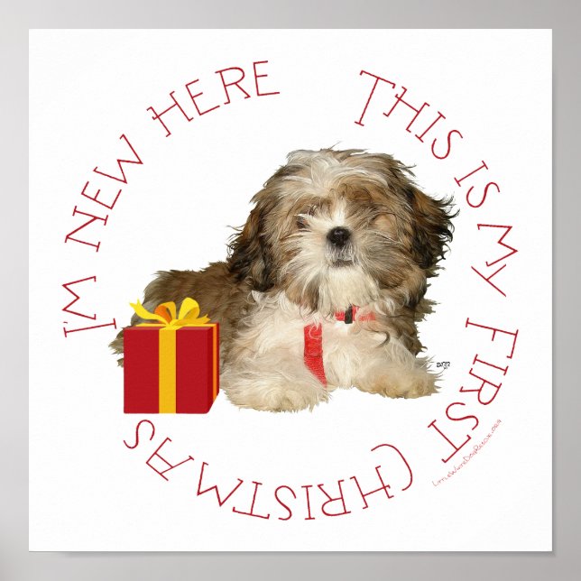 Poster Shih Tzu Puppy Primeiro Natal (Frente)