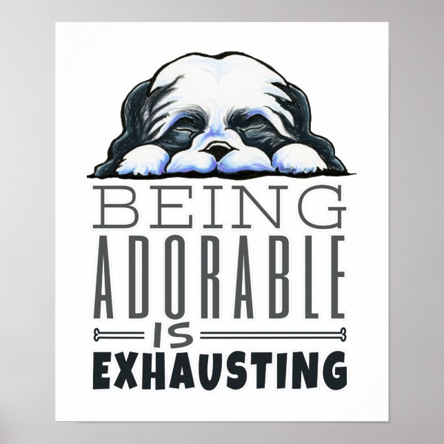 Pôster Shih Tzu Sendo Adorável (Frente)