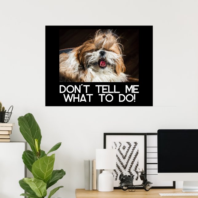Poster Shih tzu tongue funny Don't tell me what to do (Escritório em casa)