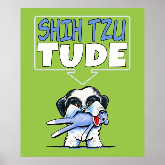 Poster Shih Tzu Tude Dk (Frente)