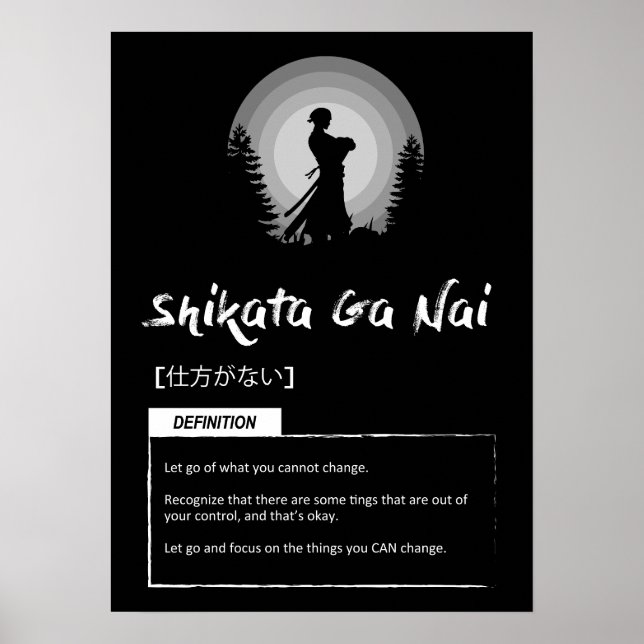 Poster Shikata-ga-nai - Conceito Japonês Para O Sucesso (Frente)