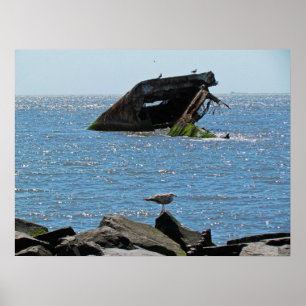 Pôster Shipwreck de Cape May