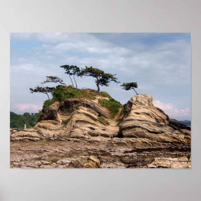 Pôster Shiroyama (Frente)