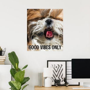 Poster Shiz tzu lingua engraçada vibe texto personalizado