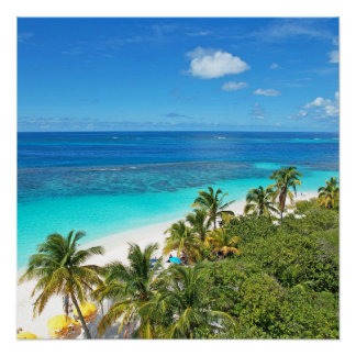 Pôster Shoal Bay East