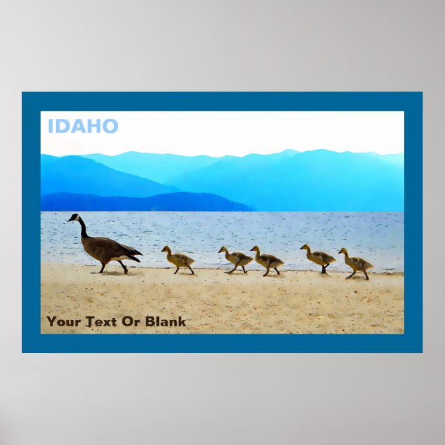 Poster Shore Patrol Canada Geese (Frente)