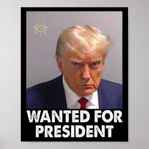 Poster Shot Trump Engraçado Queria O Presidente 2024