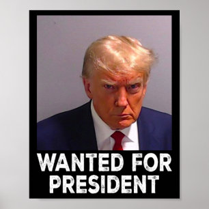 Poster Shot Trump Queria O Presidente 2024