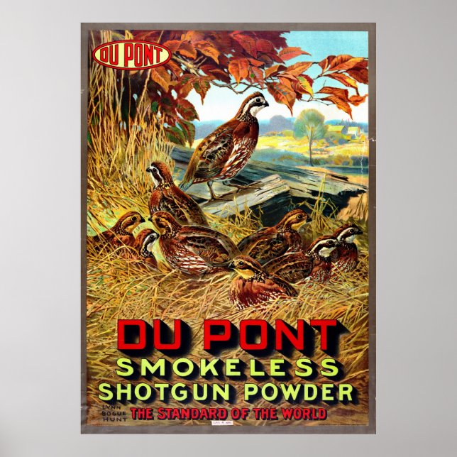 Pôster Shotgun Powder Ad 1913 (Frente)