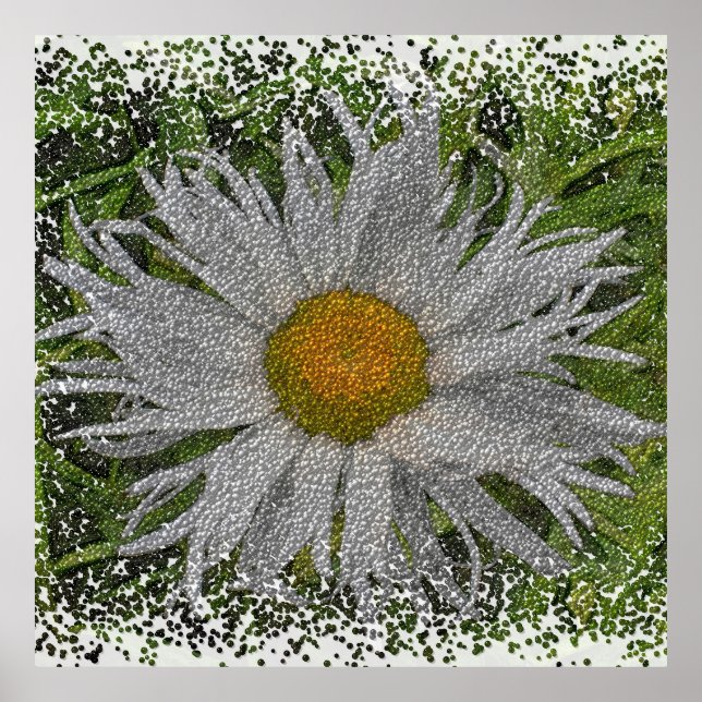 Poster Show Me A Daisy #1 (Frente)