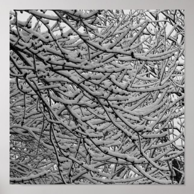 Pôster Shreveport Snowfall (Frente)