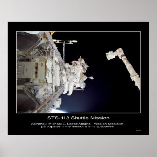 Pôster Shuttle-sts113-307-009