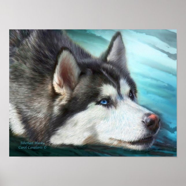 Pôster Siberian Husky Art Poster/Impressão (Frente)