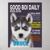 Siberian Husky Parody Magazine Cobrir