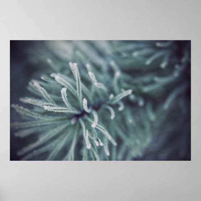 Pôster Siberian Winter 3 (Frente)