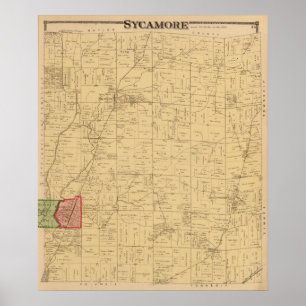 Pôster Sicômoro, Ohio