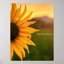 Sideways Glance-Experience Prescott